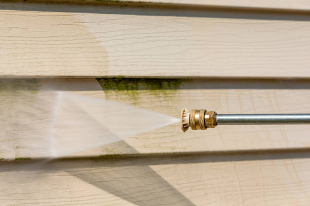 Best Affordable Pressure Washing  in Morristown, TN